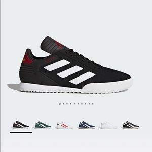 Meet your Posher, Austin